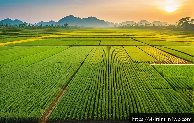 Chiến lược phát triển AI tương tác bền vững: Giải pháp cho tương lai công nghệ thông minh tại Việt Nam 3 대화형 AI의 지속 가능한 개발을 위한 접근법 관련 이미지 1